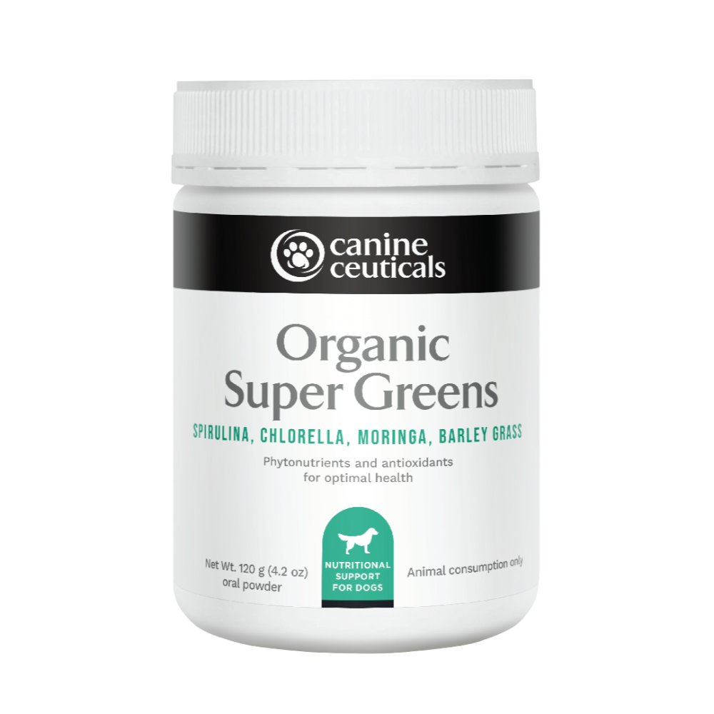 Canine Ceuticals Organic Super Greens Phytonutrient Powder For Dogs ...